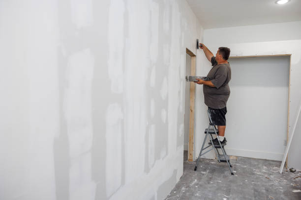Best Mold Odor Removal Services  in King City, OR